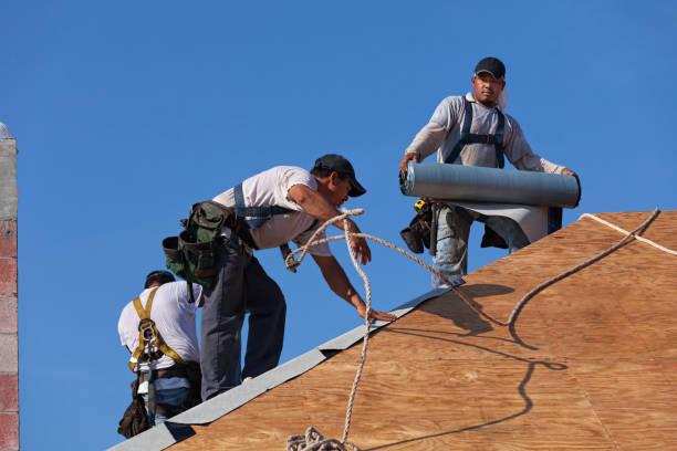 Best Roof Replacement Cost  in Toronto, OH